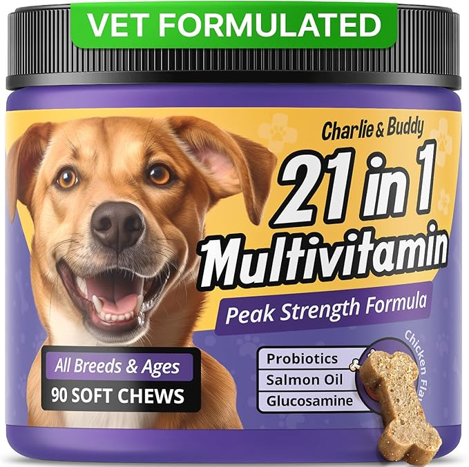 Charlie & Buddy Dog Multivitamin 21 in 1 - Dog Vitamins and Supplements with Vitamin C Multivitamin for Dogs - Chicken Flavour Dog Vitamins Soft Chews - 90ct