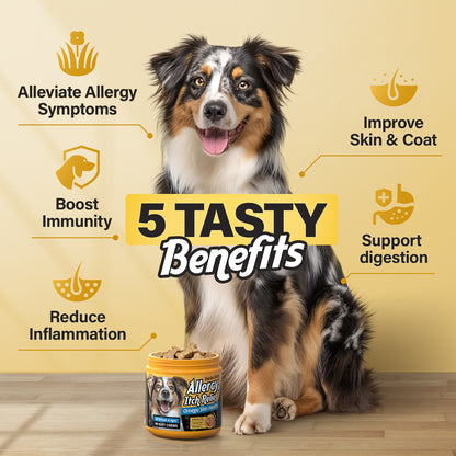 CHARLIE & BUDDY Dog Allеrgy Chews, Immunе Support & Itсh Rеlief for Dogs, Skin and Coat Supplements with Omega 3 Fish Oil, ACV, Vitamin C, & Probiotics for Dogs, 90 Soft Chews, Chicken Flavor