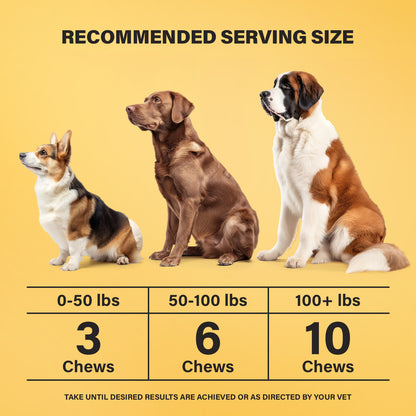 CHARLIE & BUDDY Dog Allеrgy Chews, Immunе Support & Itсh Rеlief for Dogs, Skin and Coat Supplements with Omega 3 Fish Oil, ACV, Vitamin C, & Probiotics for Dogs, 90 Soft Chews, Chicken Flavor