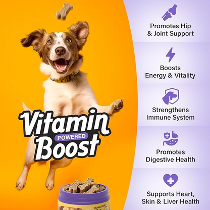 Charlie & Buddy Dog Multivitamin 21 in 1 - Dog Vitamins and Supplements with Vitamin C Multivitamin for Dogs - Chicken Flavour Dog Vitamins Soft Chews - 90ct