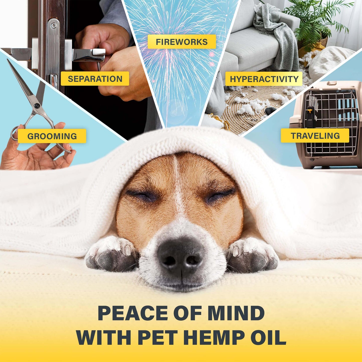 Hemp Oil Dogs Cats CHARLIE & BUDDY - Helps Pets with Anxiety, Pain, Stress, Sleep, Arthritis, Seizures Relief - Hip Joint Health - 100 Natural Pure Drops, Organic Calming Treats