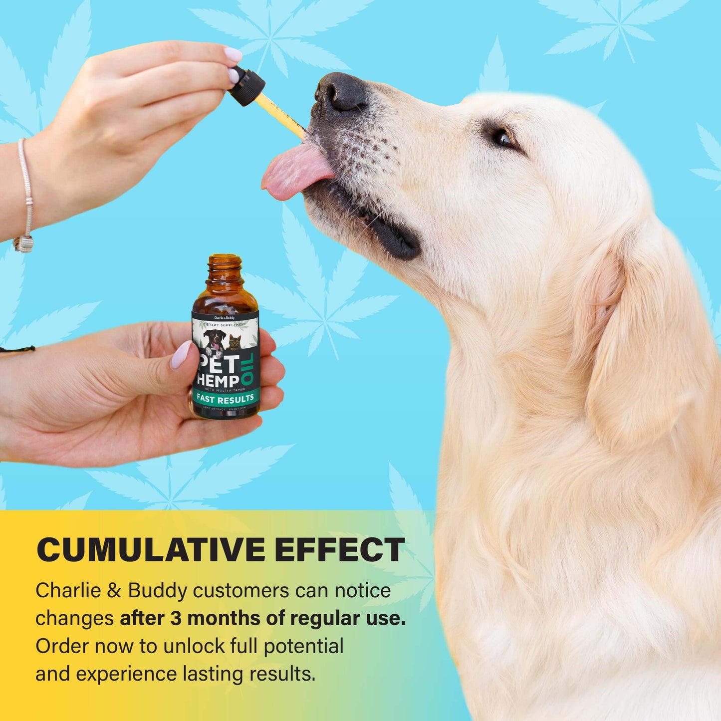 Hemp Oil Dogs Cats CHARLIE & BUDDY - Helps Pets with Anxiety, Pain, Stress, Sleep, Arthritis, Seizures Relief - Hip Joint Health - 100 Natural Pure Drops, Organic Calming Treats