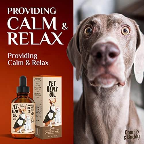 Hemp Oil Dogs Cats - Anti-Anxiety, Arthritis, Seizures, Pain Relief - Hip Joint Health - 100% Organic Calming Drops - Omega 3, 6, 9 & Vitamins B, C, E